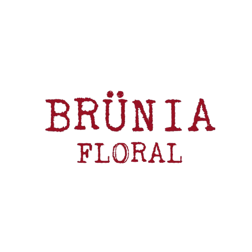 Brünia Floral